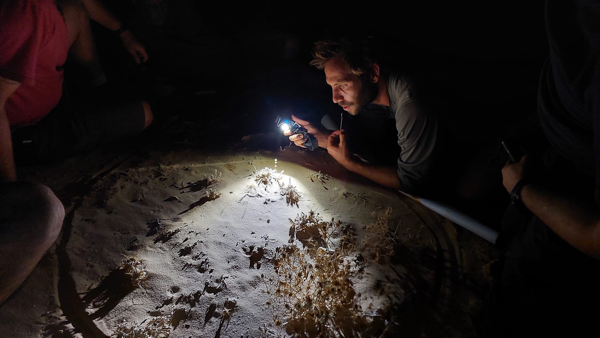 472697369_526156587120347_6586066473966383319_n