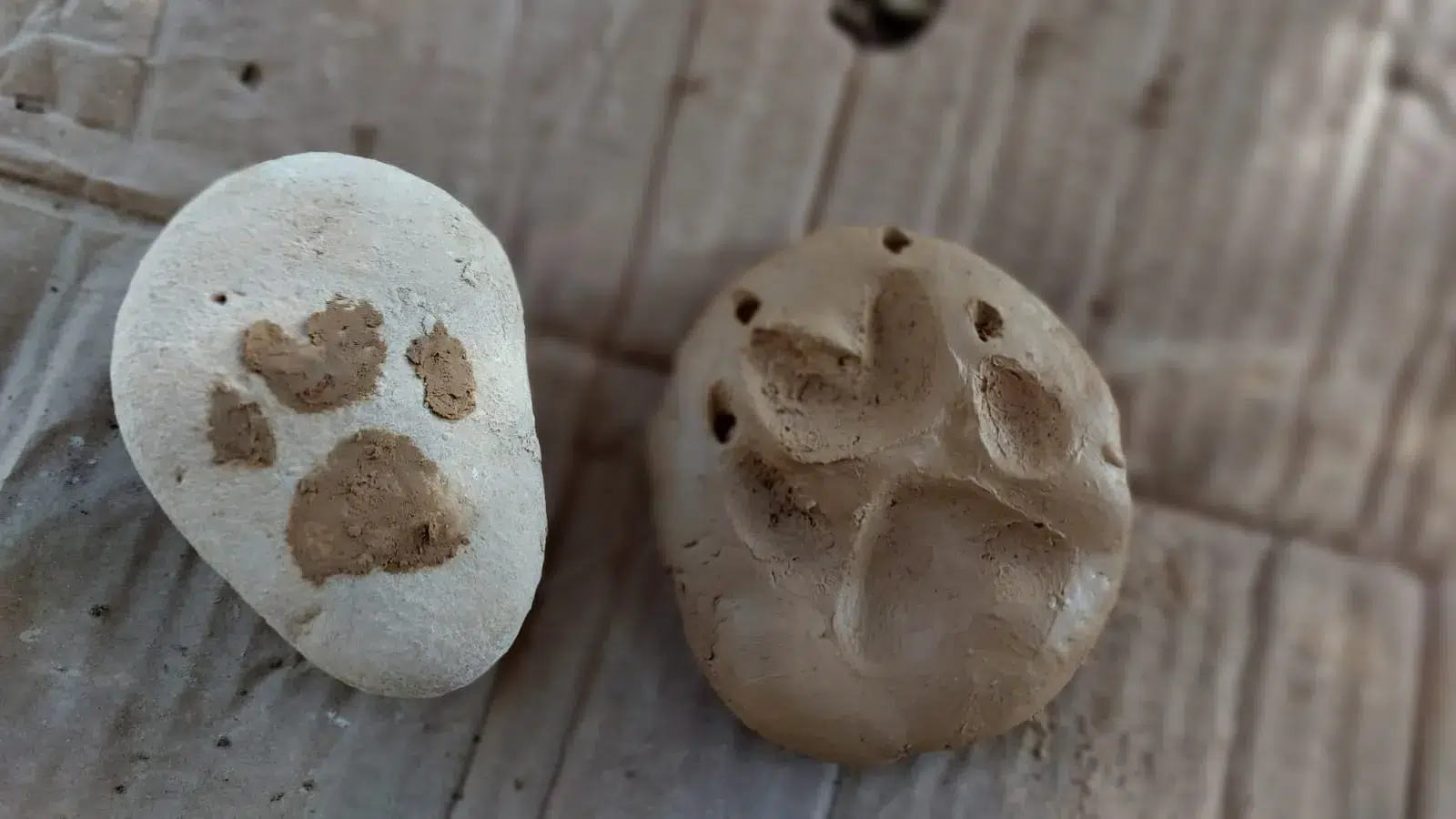 476830859_550773281325344_8644806679381163025_n